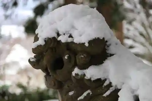 白幡八幡神社の狛犬