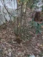 石内のお大師さん 金剛院(広島県)