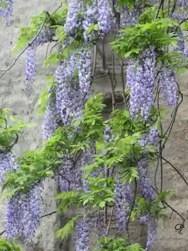 英勝寺(神奈川県)