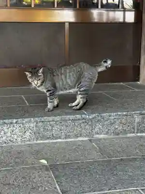 王子神社(徳島県)