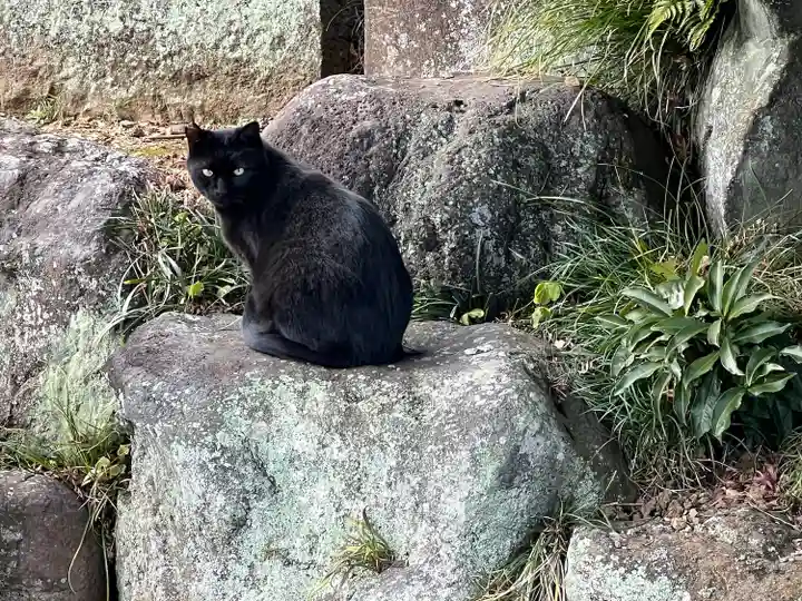 聖天院(埼玉県)