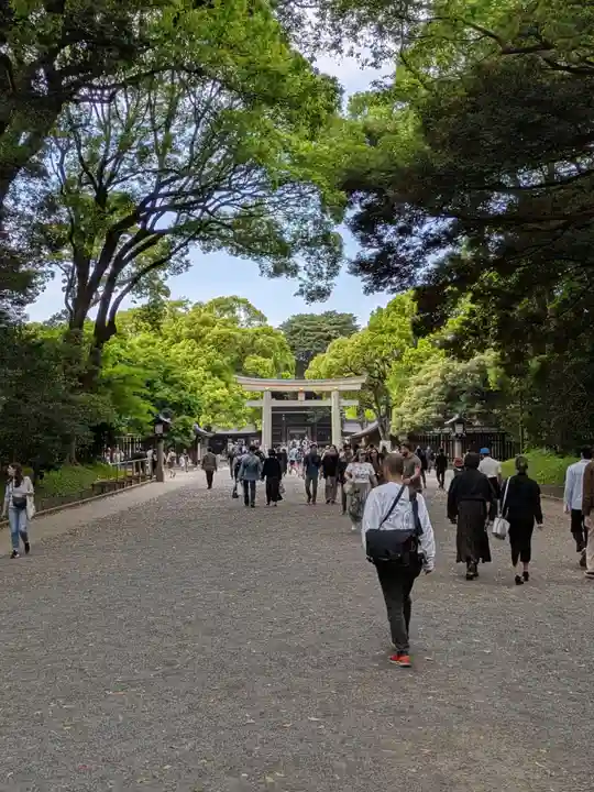 明治神宮(東京都)