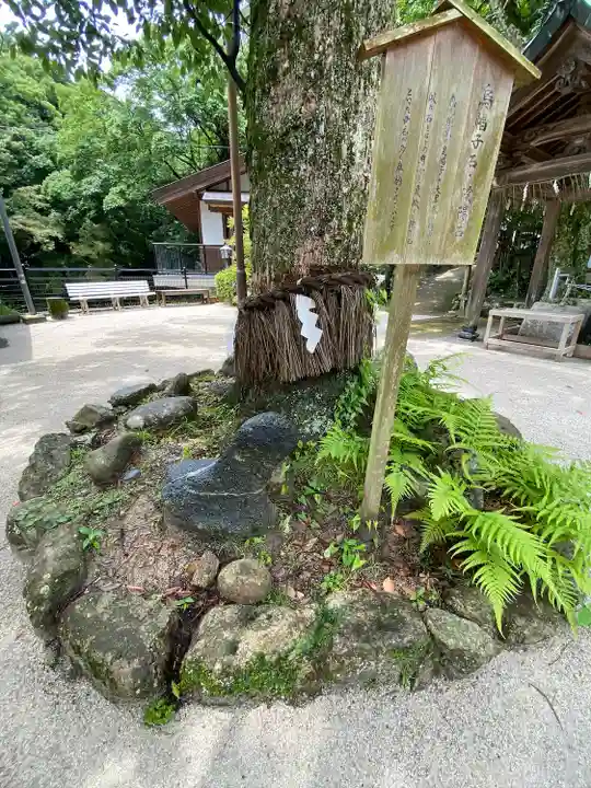 志賀海神社(福岡県)
