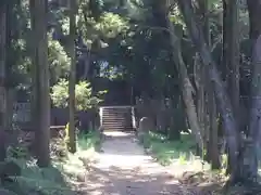 小富士山神社の自然