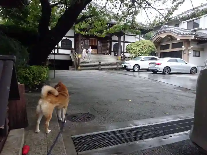 感通寺のその他建物