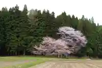 赤津稲荷神社の景色