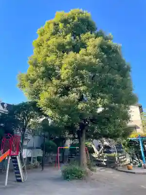甘酒稲荷神社(東京都)