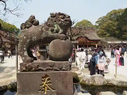 太宰府天満宮の狛犬