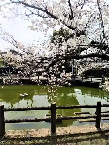 福島八幡宮の庭園