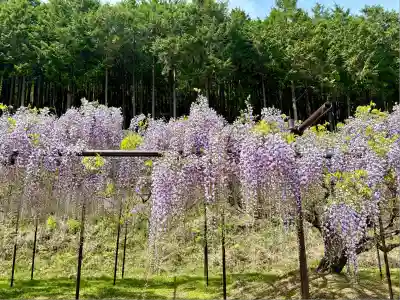 天台宗 五大山 白毫寺(兵庫県)