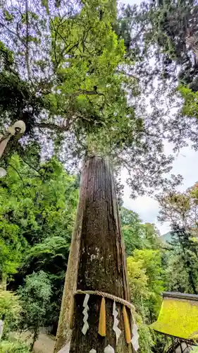 由岐神社(京都府)