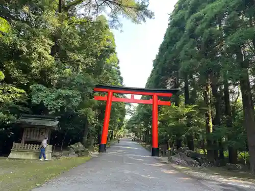 霧島神宮(鹿児島県)