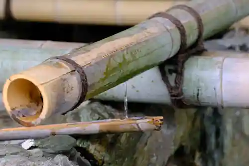 和泉國一之宮　大鳥大社の手水舎