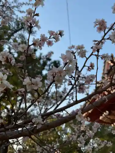 甚目寺(愛知県)