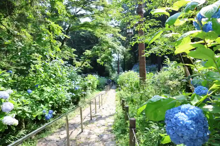 窟神社(栃木県)
