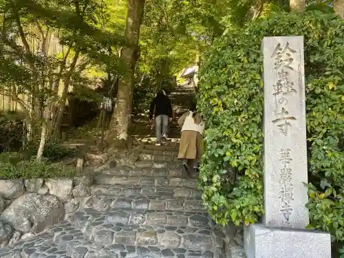 華厳寺（鈴虫寺）の{uncategorized: "未分類", other: "その他", undefined: "問題あり", building: "その他建物", grave: "お墓", sacred_gate: "鳥居", guardian: "狛犬", statue: "像", buddha: "仏像", history: "歴史", nature: "自然", garden: "庭園", animal: "動物", pagoda: "塔", temizu: "手水舎", mountain_gate: "山門・神門", sanctuary: "本殿・本堂", subordinate: "末社・摂社", art: "芸術", scenery: "景色", jizo: "地蔵", ema: "絵馬", goshuin: "御朱印", omikuji: "おみくじ", items: "授与品その他", amulet: "お守り", goshuincho: "御朱印帳", eats: "食事", festival: "お祭り", votive_dance: "神楽", shichigosan: "七五三参", wedding: "結婚式", experience: "体験その他", initially: "初詣", around: "周辺", anti_infection: "感染症対策"}
