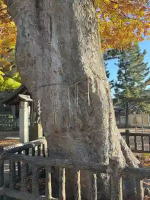 豊田神社(東京都)
