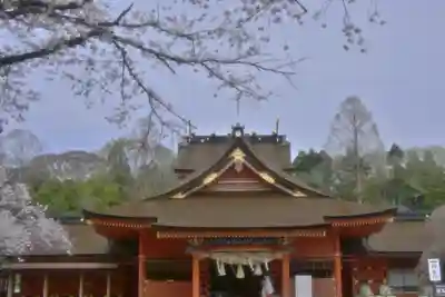 富士山本宮浅間大社(静岡県)