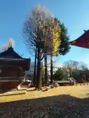 根津神社(東京都)