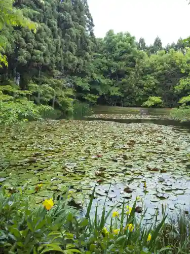 酬恩庵一休寺(京都府)