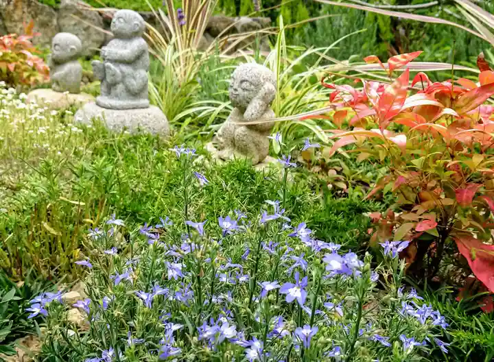 寿量山 速成寺の自然