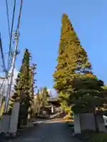 東長谷寺 薬王院(東京都)