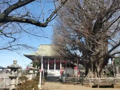 千葉寺の{uncategorized: "未分類", other: "その他", undefined: "問題あり", building: "その他建物", grave: "お墓", sacred_gate: "鳥居", guardian: "狛犬", statue: "像", buddha: "仏像", history: "歴史", nature: "自然", garden: "庭園", animal: "動物", pagoda: "塔", temizu: "手水舎", mountain_gate: "山門・神門", sanctuary: "本殿・本堂", subordinate: "末社・摂社", art: "芸術", scenery: "景色", jizo: "地蔵", ema: "絵馬", goshuin: "御朱印", omikuji: "おみくじ", items: "授与品その他", amulet: "お守り", goshuincho: "御朱印帳", eats: "食事", festival: "お祭り", votive_dance: "神楽", shichigosan: "七五三参", wedding: "結婚式", experience: "体験その他", initially: "初詣", around: "周辺", anti_infection: "感染症対策"}