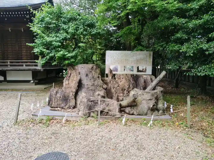 布多天神社の{uncategorized: "未分類", other: "その他", undefined: "問題あり", building: "その他建物", grave: "お墓", sacred_gate: "鳥居", guardian: "狛犬", statue: "像", buddha: "仏像", history: "歴史", nature: "自然", garden: "庭園", animal: "動物", pagoda: "塔", temizu: "手水舎", mountain_gate: "山門・神門", sanctuary: "本殿・本堂", subordinate: "末社・摂社", art: "芸術", scenery: "景色", jizo: "地蔵", ema: "絵馬", goshuin: "御朱印", omikuji: "おみくじ", items: "授与品その他", amulet: "お守り", goshuincho: "御朱印帳", eats: "食事", festival: "お祭り", votive_dance: "神楽", shichigosan: "七五三参", wedding: "結婚式", experience: "体験その他", initially: "初詣", around: "周辺", anti_infection: "感染症対策"}