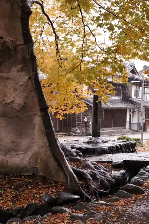 白鳥神社(長野県)