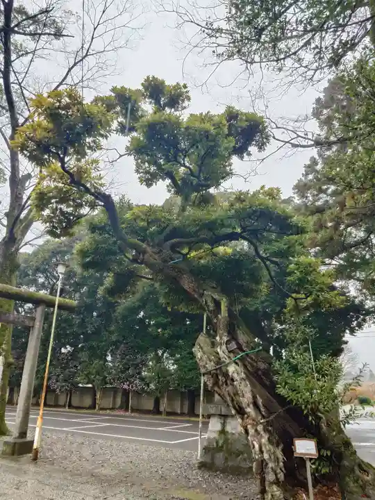 一言主神社(茨城県)