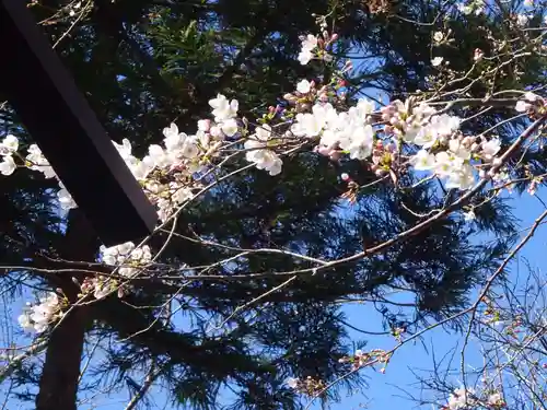弥生神社の自然