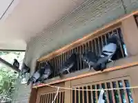 沖野八幡神社の{uncategorized: "未分類", other: "その他", undefined: "問題あり", building: "その他建物", grave: "お墓", sacred_gate: "鳥居", guardian: "狛犬", statue: "像", buddha: "仏像", history: "歴史", nature: "自然", garden: "庭園", animal: "動物", pagoda: "塔", temizu: "手水舎", mountain_gate: "山門・神門", sanctuary: "本殿・本堂", subordinate: "末社・摂社", art: "芸術", scenery: "景色", jizo: "地蔵", ema: "絵馬", goshuin: "御朱印", omikuji: "おみくじ", items: "授与品その他", amulet: "お守り", goshuincho: "御朱印帳", eats: "食事", festival: "お祭り", votive_dance: "神楽", shichigosan: "七五三参", wedding: "結婚式", experience: "体験その他", initially: "初詣", around: "周辺", anti_infection: "感染症対策"}