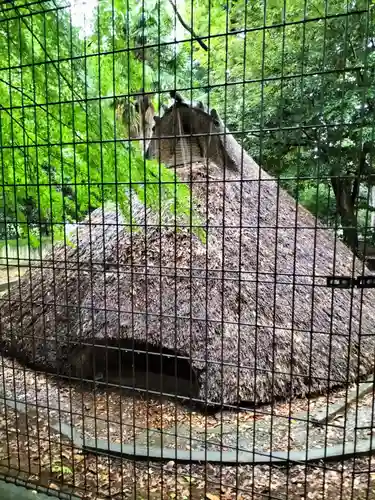 代々木八幡宮(東京都)