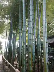 野々宮神社(埼玉県)