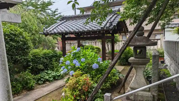 吒枳尼天(法伝寺)(京都府)