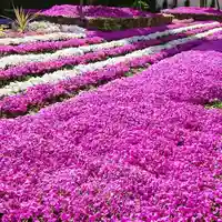 寿量山 速成寺の自然