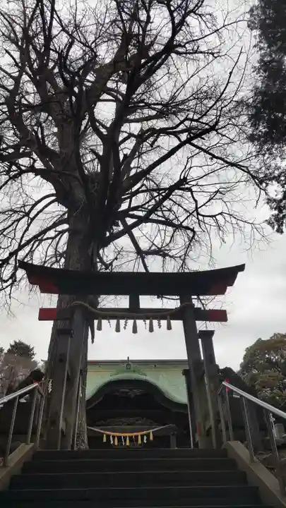 下総国三山 二宮神社の鳥居