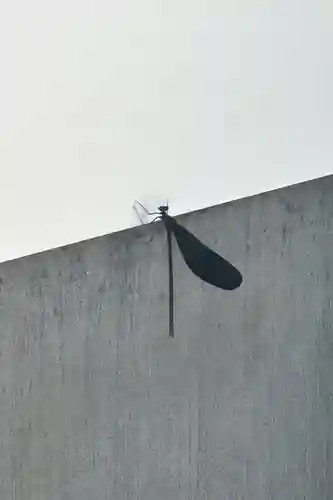 蚊里田八幡宮(長野県)