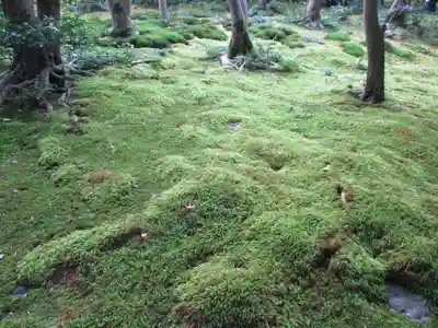 祇王寺(京都府)