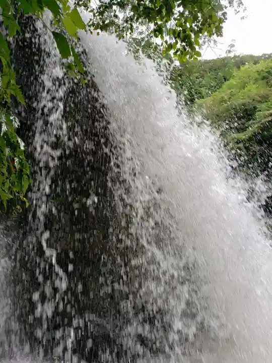 白山神社の自然