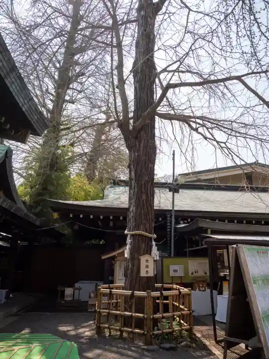 大宮八幡宮の{uncategorized: "未分類", other: "その他", undefined: "問題あり", building: "その他建物", grave: "お墓", sacred_gate: "鳥居", guardian: "狛犬", statue: "像", buddha: "仏像", history: "歴史", nature: "自然", garden: "庭園", animal: "動物", pagoda: "塔", temizu: "手水舎", mountain_gate: "山門・神門", sanctuary: "本殿・本堂", subordinate: "末社・摂社", art: "芸術", scenery: "景色", jizo: "地蔵", ema: "絵馬", goshuin: "御朱印", omikuji: "おみくじ", items: "授与品その他", amulet: "お守り", goshuincho: "御朱印帳", eats: "食事", festival: "お祭り", votive_dance: "神楽", shichigosan: "七五三参", wedding: "結婚式", experience: "体験その他", initially: "初詣", around: "周辺", anti_infection: "感染症対策"}