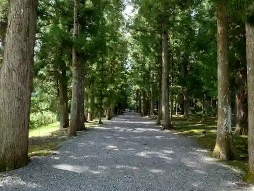 大斎原（熊野本宮大社旧社地）(和歌山県)