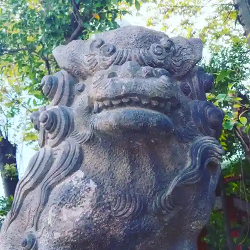 神田神社（神田明神）の狛犬