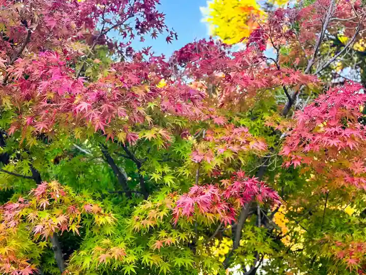 伊勢の国 四天王寺(三重県)