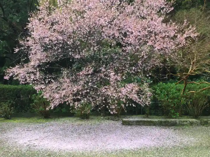 當麻寺(奈良県)