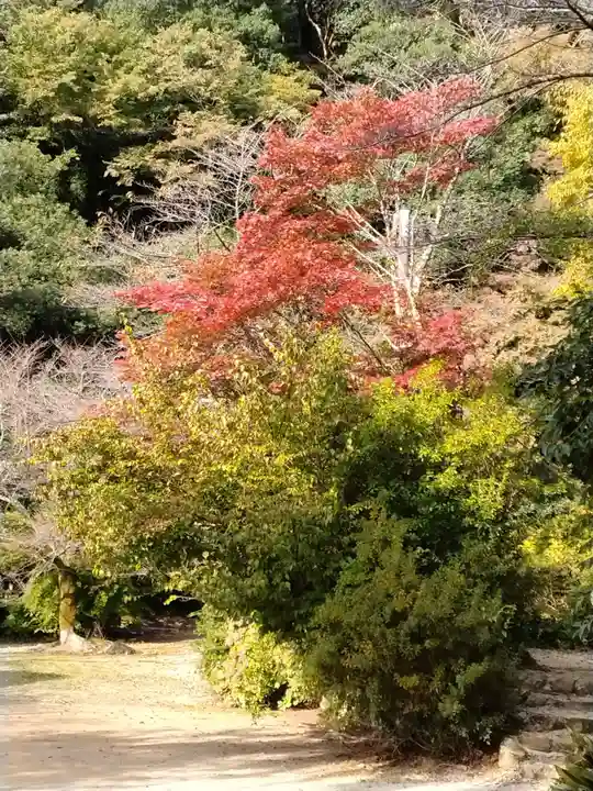 清水寺(島根県)