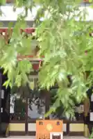 秋葉神社(東京都)