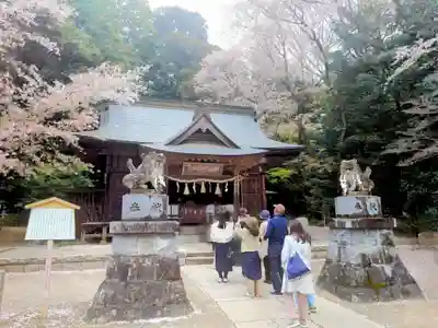 磯部稲村神社(茨城県)