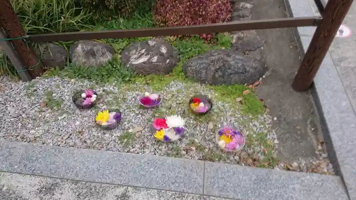 埼玉厄除け開運大師・龍泉寺(切り絵御朱印発祥の寺)の庭園