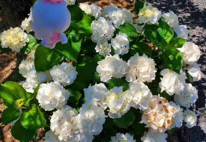 総持寺(大阪府)